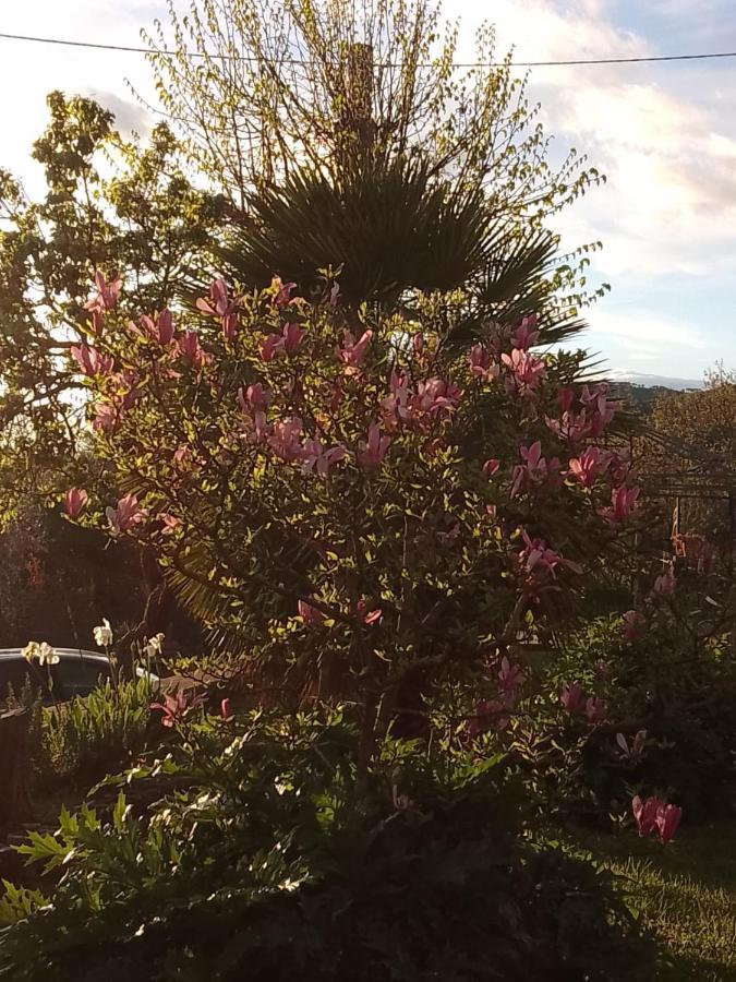 Апартаменты Magnolia Кортона Экстерьер фото