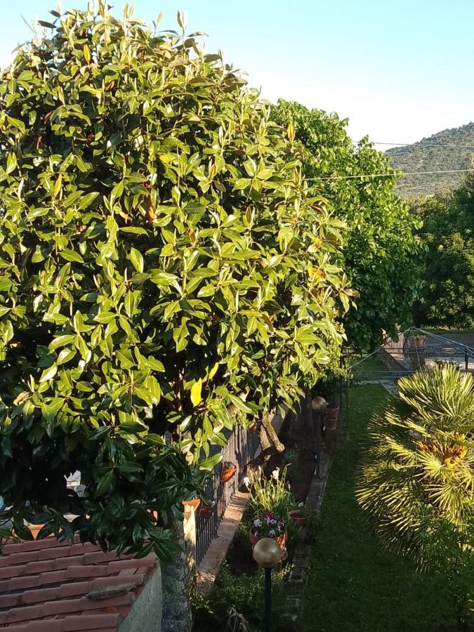 Апартаменты Magnolia Кортона Экстерьер фото